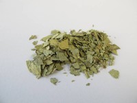 feuille-de-sene-avis