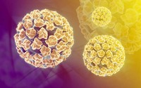 papillomavirus-definition