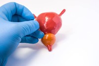 comment-se-passe-une-biopsie-de-la-prostate