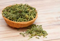 tribulus-terrestris-bio