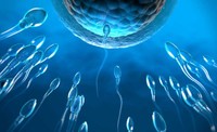 anastrozole-medicament-pour-ameliorer-spermatozoides