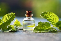 eau-de-melisse