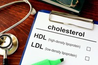 quel-est-le-bon-taux-de-cholesterol-hdl-ou-ldl