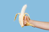 erection definition