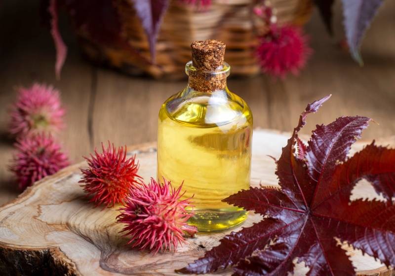 Huile de ricin cheveux : bienfaits et utilisation | Charles.co