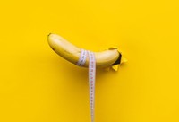 taille-penis-erection