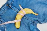 taille-penis-repos