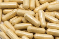 qu-est-ce-que-le-chitosan