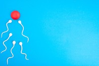 teratospermie-traitement