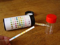 test-bandelette-urinaire