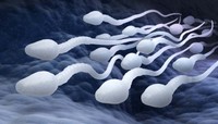 citrate-de-clomifene-medicament-pour-augmenter-fertilite-masculine