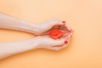 transmission-herpes-vaginal