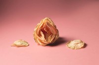 symptomes-herpes-vaginal