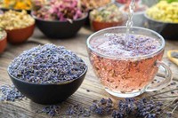 naturopathe-definition