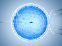 fecondation-in-vitro-comment-ca-se-passe-en-france