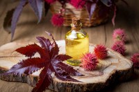 huile-de-ricin-pousse-cheveux