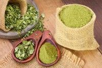 danger-du-moringa