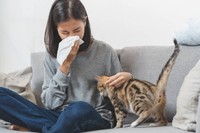allergie-traitement