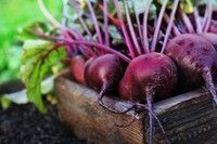 aliments-a-eviter-pour-le-foie