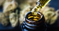 huile-de-cbd-perte-de-poids
