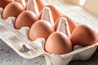 regime-oeuf-cohen