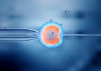que-faire-si-spermatozoides-natteignent-pas-lovule