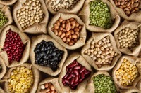 aliments-riches-en-fibres-coupe-faim-efficaces