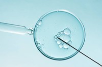 alternatives-medicament-pour-augmenter-le-taux-de-spermatozoides