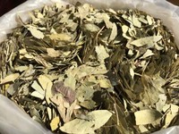 feuille-de-sene-en-pharmacie