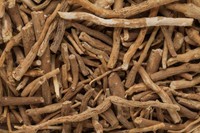 ashwagandha-bienfaits-femme