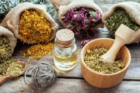 maigrir-avec-la-phytotherapie