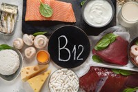 vitamine-b12-aliments