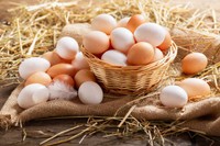 quantite-proteine-dans-un-oeuf