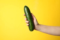 fonctions-penis