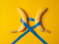 differences-penis-de-sang-ou-de-chair