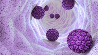 qu-est-ce-que-le-papillomavirus-chez-l-homme