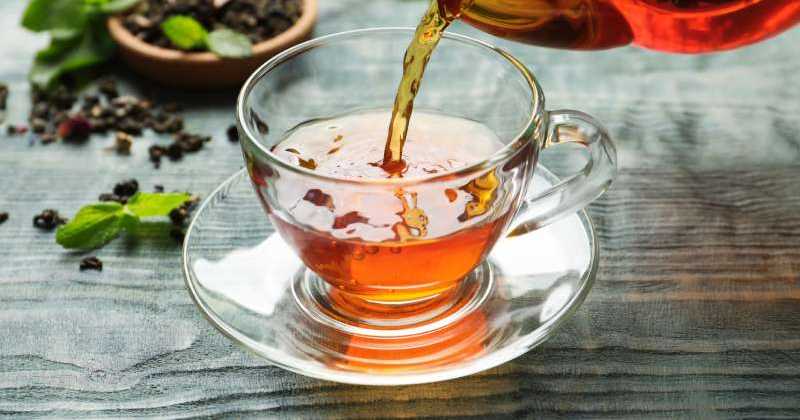 Quel thé vert pour maigrir, Blog Spécialisé
