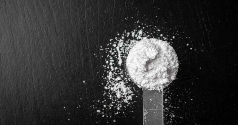 l carnitine effets secondaires L-Carnitine : bienfaits, sources, dosage, formes et dangers main image 0