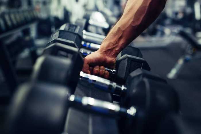 Protéine musculation : quantité, sources et précautions