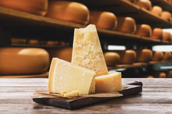 Leucine : bienfaits, aliments et précautions