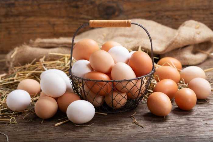 Régime œuf : avantages, précautions et avis
