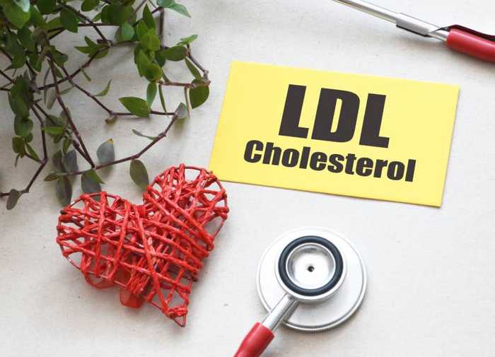 Cholestérol LDL : définition, haut, bas, que faire