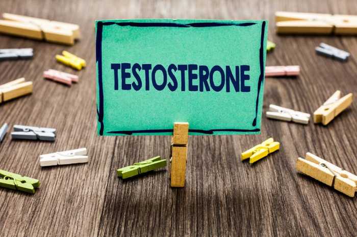 Testostérone : définition, rôle et utilité