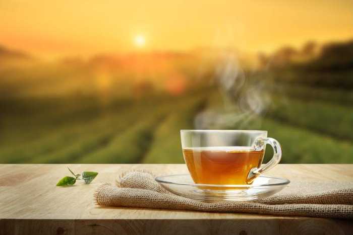Thé ventre plat : efficacité, type de thé et avis