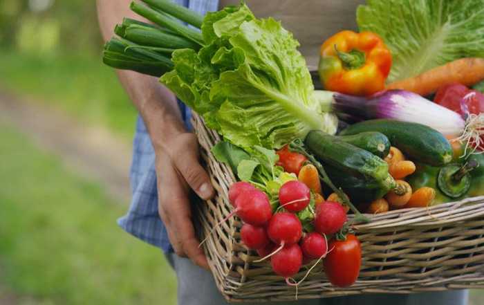 Légumes qui font maigrir : le soir, jus de légumes et maigrir du ventre
