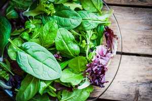 Salade régime : sauce, recette et lentilles froides