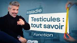 Douleur aux Testicules : Consultation en Ligne | Charles.co