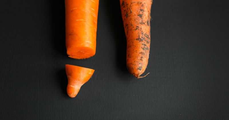 Gland de lait : existe-t-il vraiment ? | Charles.co