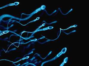 Spermatozoïdes : présentation, caractéristiques et pathologies