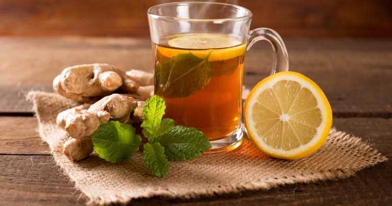 Gingembre citron pour maigrir : avis, miel et boisson | Charles.co